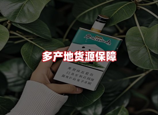 专业团队